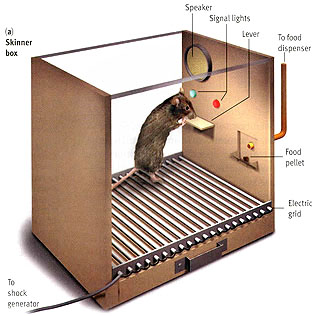 experimental  research