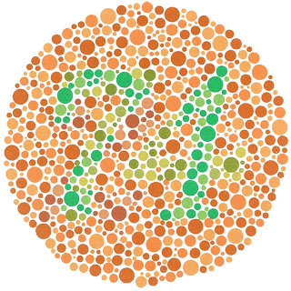 ishihara_9.jpg